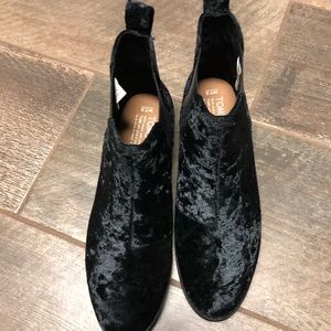 NWT Tom’s Suede Bootie